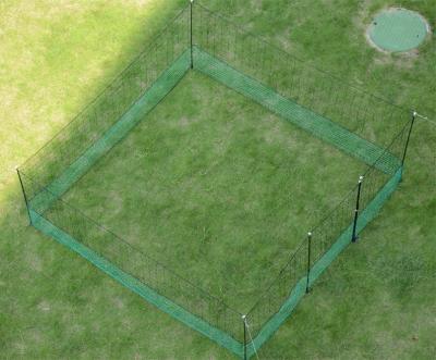 China 24 M Chicken Net Fence Kit With Gate Double Pointed Posts in Green with Fibreglass Rod zu verkaufen