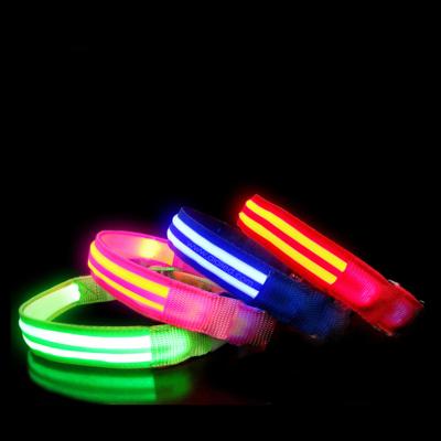 China Fashionable Lights USB Charging Waterproof Dual Guide LED Light Dog Pet Collars for sale