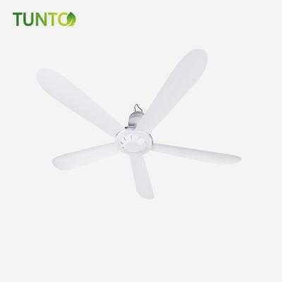 China Cool 56 Inch 12V DC Solar Power Ceiling Fans Are Available Outdoor And In The Bedroom for sale