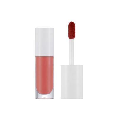 China Newest Japan Waterproof Matte Waterproof Lipstick Lip Gloss Custom Made for sale