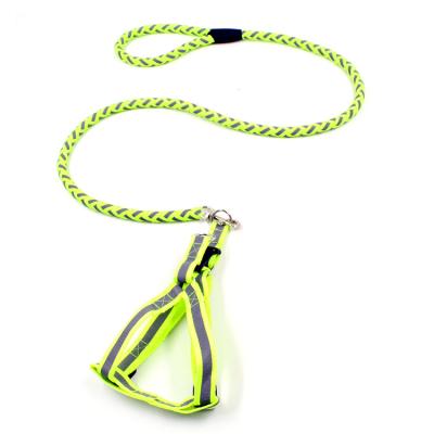 China Reflective Luminous Rope Dog Leash Padded Round Rope Trunk Chest Strap for sale