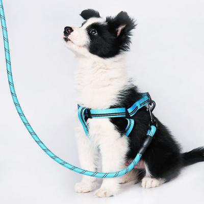 China Luxury Pet Chain Dogs Harnesses Dog Collars Dog Collars Leashes Working Nylon Smart Reflective Dog Leash for sale