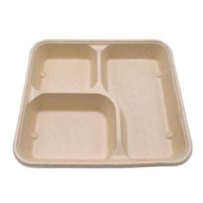 China Customized Size/Design 240*205*28mm 3 Compartment Biodegradable Bagasse Food Compartment Trays for sale