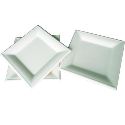 China No Leakage 10 In Bagasse Biodegradable Dish Disposable Compostable Novel Design for sale