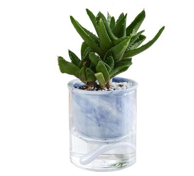 China New Product Modern Transparent Glass Self Watering Flower Pot Decor Small Ceramic Flower Pots for sale