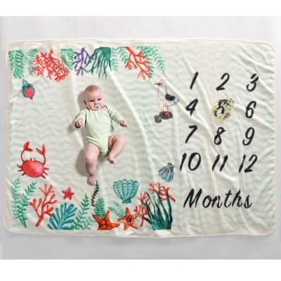 China Portable Wholesale Fleece Personalized Baby Photography Backdrop Monthly Growth Milestone Blanket for sale