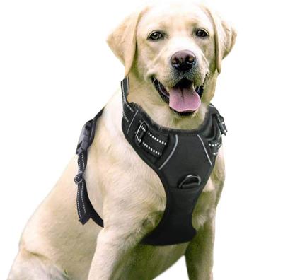 China Reflective Adjustable Soft Padded Vest Dog Pet Oxford Harness Pour Chien No-Pull Pet Harness with 2 Leash Clips for sale