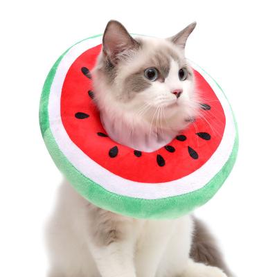 China Cat Recovery Soft Cat Wound Adjustable Thoughtful Healing Neck Protector Kitten Collars Cone Collars for sale