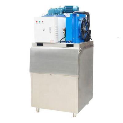 China Easy Operating Commercial Industrial 500kg Saltwater Snow Frozen Fish Flake Ice Machine for sale