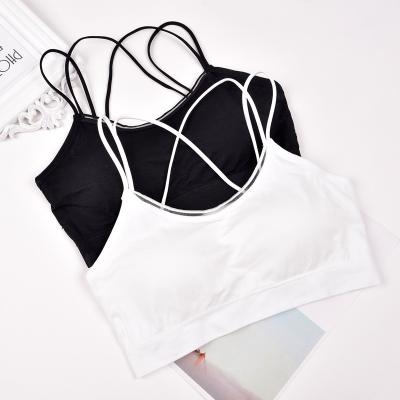 China Fashion Sports Underwear Antibacterial Seamless Wire Free Bra Padded Vest Top Bra for sale