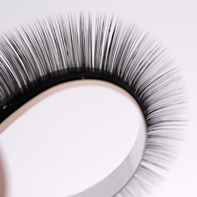 China Long Natural Clean Natural Brand Luxury Black Premium Supplies Individual Eyelash Extension Lashes Professional Wholesale Extension Lashes for sale