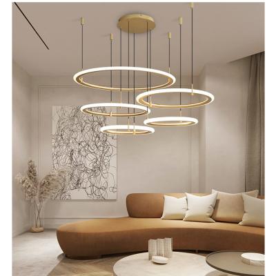 China Modern Modern Pendant Light with Ring Light LED Irregular Adjustable Pendant Light for Dining Room Bedroom Living Room for sale