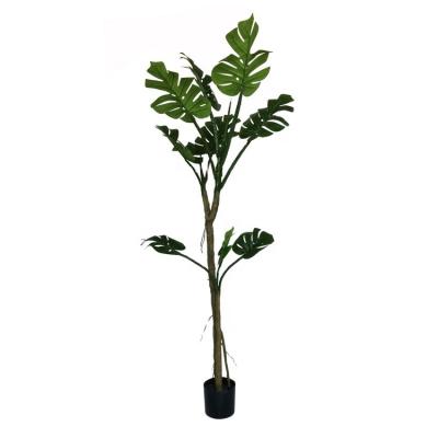 Cina High Quality Minimalist Artificial Green Decorative Plant Hawaii Simulation Palm Tree 180cm Artificial Tree in vendita