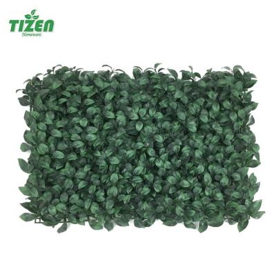 China Tizen Minimalist UV Outdoor Jungle Hedge Vertical Fake Grass Plants Wall Hanging Plant Green Artificial Grass Wall For Home Decoration for sale