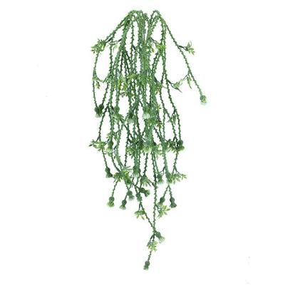 China Suitable for indoor decoration and real touch placement OEM/ODM artificial flower cirrus vine hanging greenery plant for indoor outdoor decoration home wedding wall à venda