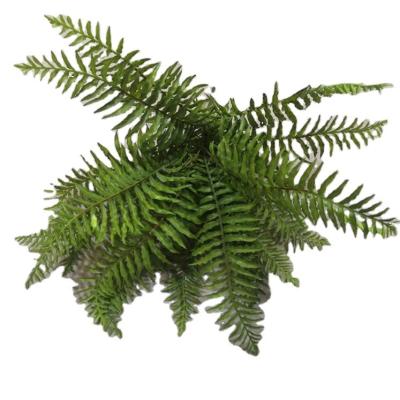 China Minimalist Tizen Homeware Fern Artificial Eco - Friendly Artificial Fern 18heads H=54CM Te koop