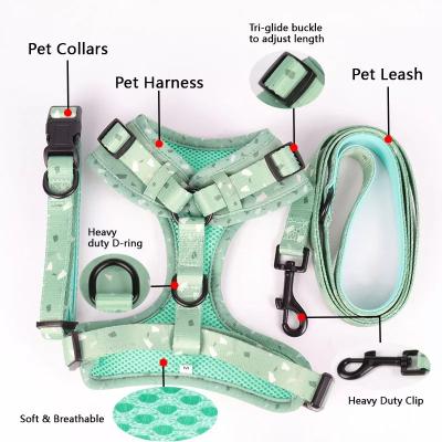 China 2022 Popular Custom Design Soft Air Mesh Adjustable Dog Collar And Harness Set for sale