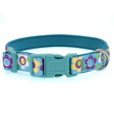 China Custom Private Label Luxury Comfortable Neoprene Padded Fashion Soft Dog Collar for sale