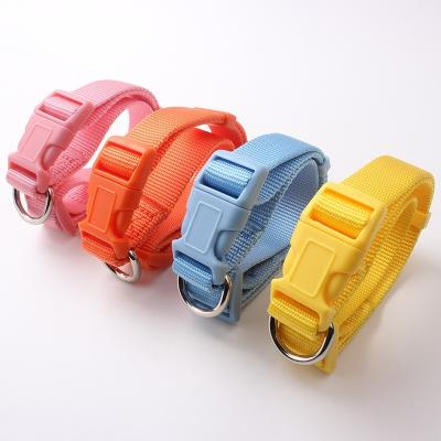 China Personalized good quality multiple nylon dog collar of solid colors hardware with matching color buckle for sale