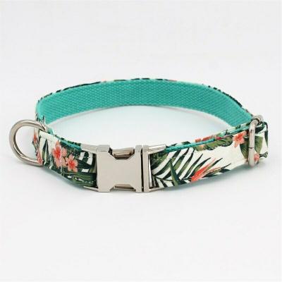 China 2022 Modes Personalized Durable Nylon Dog Training Collar for sale