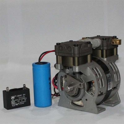 China 50W Oilless Air Compressor Pump 22LPM No Oil Air Compressor Beauty Equipment for sale