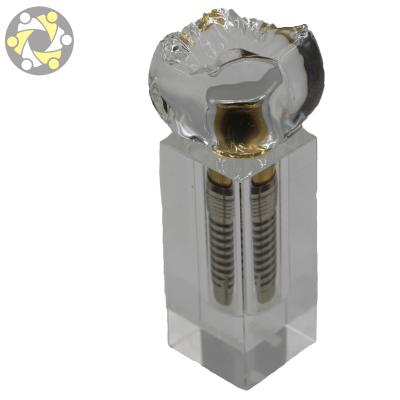 China Education Implant Model For Dental Student Practice Medical College Teaching Implant Dental Model for sale