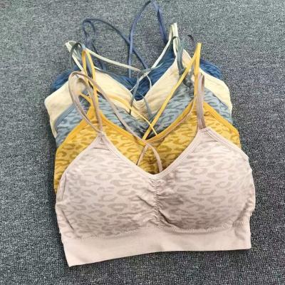 China Store Wholesale QUICK DRY factory clearance lace BLEND mix designs high quality mix size 32-38ABC two cups hooks bra for sale