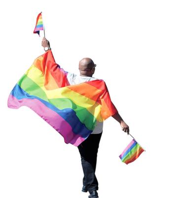 China High Quality Lgbt FLYING Gay Pride Flags 3'x5' Polyester Rainbow Flag for sale