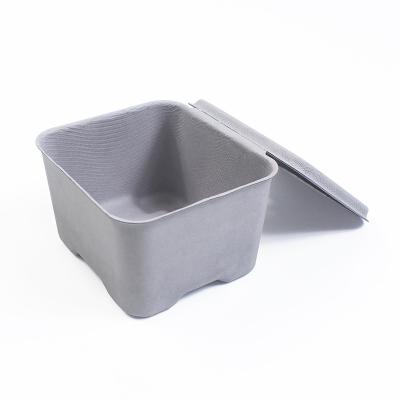 중국 FSC Biodegradable Pulp Containers Gray Products Custom Molded Pulp Packaging With Lid 판매용