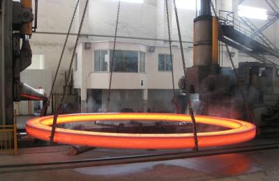 China Precision Industrial Ring Flange Stainless Steel Forgings DIN ASTM OD 3800mm for sale