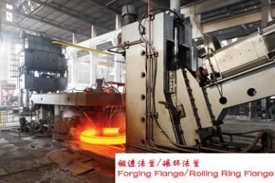 China Custom Hydraulic Press Wind Power Ring Gear Forging Carbon Steel for sale