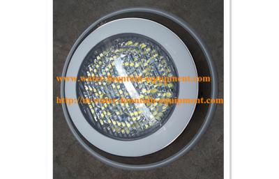 China Stainless Steel Wall Mounted Underwater Swimming Pool Lights Dia 230mm White Rings for sale