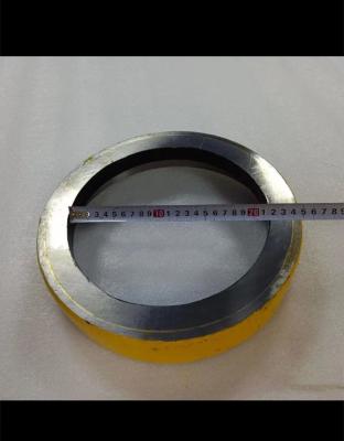 Cina Concrete Pump Wear Ring 261123001，DN230 in vendita