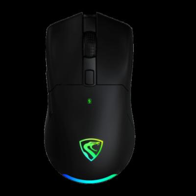 China 3D Omron Switch RGB Backlit High End 2.4G 16000DPI Wireless Gaming Mouse Logitech Competition Mouse for sale