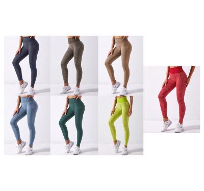 China Breathable Cheap High Waist Women Quick Drying Seamless Yoga Pants Sport Skinny Yoga Panties for sale