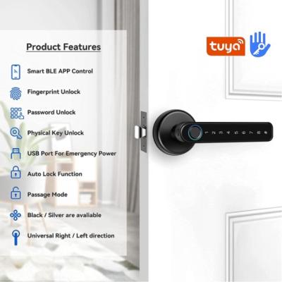 China Intelligent Digital Home Biometric Handle High Security Hotel Office Apartments Lock with Tuya or TTlock for sale