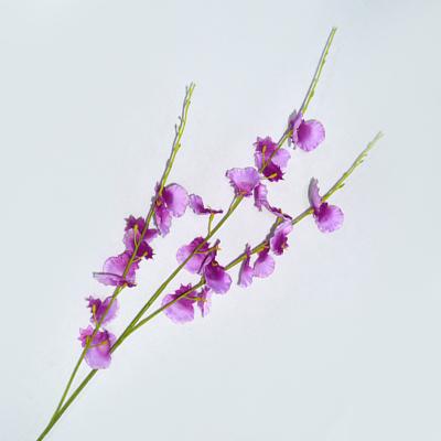 China Natural Artificial Orchid Flowers Touch Silk Fake Orchid Flowers for sale