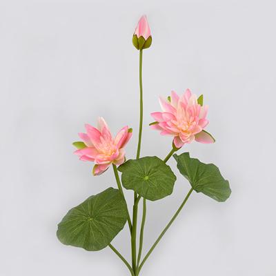 China Natural Touch Lotus Flowers Stem Real Touch Water Lily Fabric Artificial Flowers Home Wedding Party Decor for sale