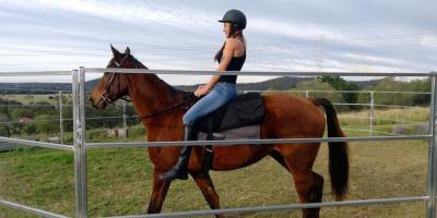 China Portable Horse Pens For Sale 40x40 6 Oval Rails. Locking Pins. ,  Victoria , Cattle for sale