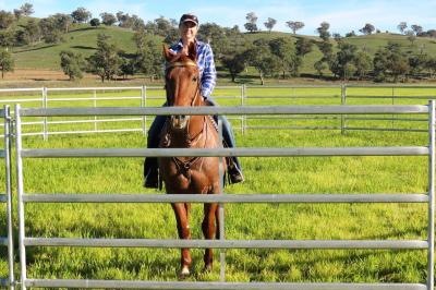 China HEAVY Duty 18 Round Yard 	horse fence panels Outdoor Animal Enclosure with Gate for sale