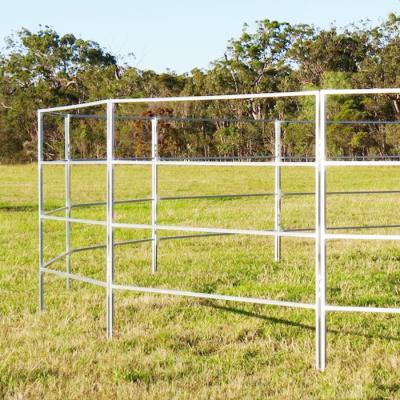 China Round Corral Panels Yard Panels 1.5m Gate. Locking Pins. 