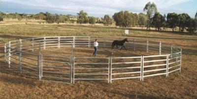 China 18 Round Yard Panels For Sale HEAVY Duty Outdoor Animal Enclosure with Gate for sale