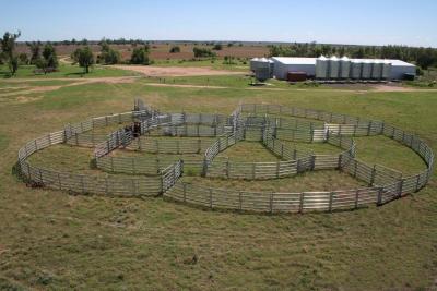 China Portable Horse Stall Panels  1.5m Gate. Locking Pins. 