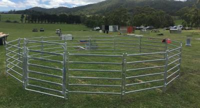 China 18 Horse Panel Cattle Yard HEAVY Duty Outdoor Animal Enclosure with Gate for sale