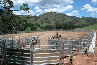 China 13 Round Yard Panels For Sale HEAVY Duty Outdoor Animal Enclosure with Gate for sale