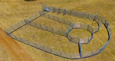 China From Budget Cattle Panels To Extra Heavy Duty Portable Corral Panels For Cattle for sale