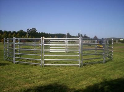 China 30pcs Bundle Heavy Duty Portable Corral Panels For Cattle & Gate for sale