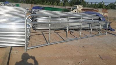 China 16ft General Purpose Farm Gate Horse Cattle Sheep Yard Panels for sale