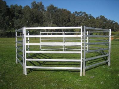 China From Budget Cattle Panels To Extra Heavy Duty Portable Corral Panels For Cattle for sale