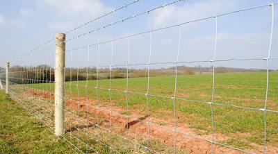 China MIDWEST AIR TECHNOLOGIES fixed knot field fence 12-1/2-Ga., 47-In. x 330-Ft. for sale